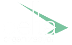 Delta Organizasyon